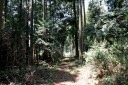 旧東山道 柏原 米原市 滋賀県