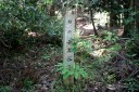 旧東山道・館跡小黒谷遺跡 長沢 柏原 米原市 滋賀県