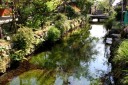 地蔵川（バイカモ・ハリヨ生息地） 醒井 米原市 滋賀県