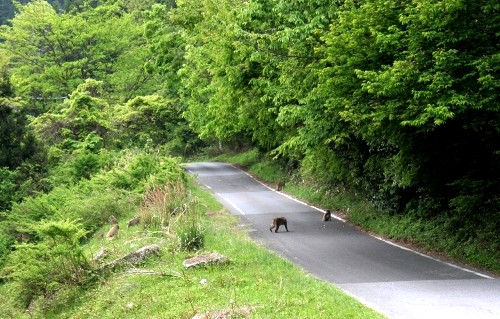 旧中山道・猿 中山町 彦根市 滋賀県