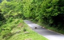 旧中山道・猿 中山町 彦根市 滋賀県