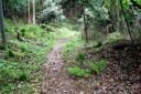 旧中山道（摺針峠道） 甲田 町 彦根市 滋賀県