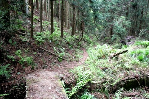 旧中山道（摺針峠道） 甲田 町 彦根市 滋賀県