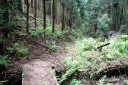 旧中山道（摺針峠道） 甲田 町 彦根市 滋賀県