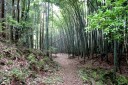 旧中山道（摺針峠道） 甲田 町 彦根市 滋賀県