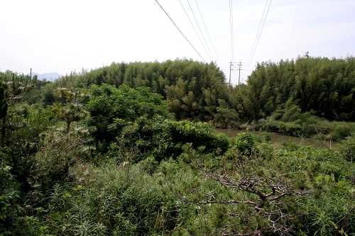 横関渡し跡 東横関町 近江八幡市 滋賀県