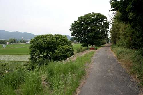 旧中山道 西横関 竜王町 蒲生郡 滋賀県