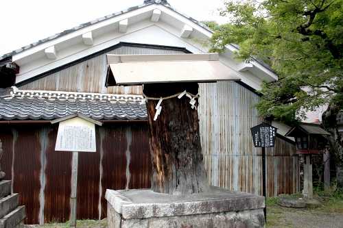 源義経烏帽子掛けの松 鏡 竜王町 蒲生郡 滋賀県
