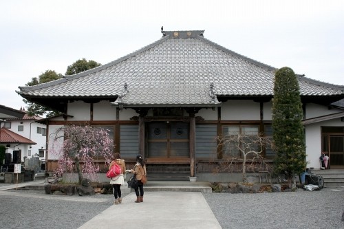 成願寺 原木 伊豆の国市 静岡県