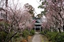荒木神社 原木 伊豆の国市 静岡県