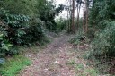旧下田街道横山坂 南條 伊豆の国市 静岡県