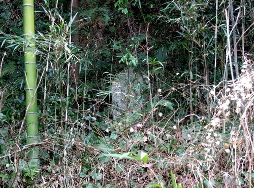 石仏 旧下田街道横山坂 南條 伊豆の国市 静岡県