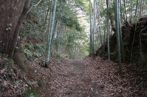 旧下田街道横山坂 南條 伊豆の国市 静岡県
