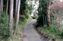 旧下田街道横山坂 宗光寺 伊豆の国市 静岡県
