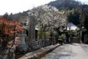 昌得院 瓜生野 伊豆市 静岡県