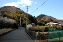 旧下田街道 大平 伊豆市 静岡県