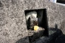 賽の神 月ヶ瀬 伊豆市 静岡県