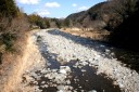狩野川 市山 伊豆市 静岡県