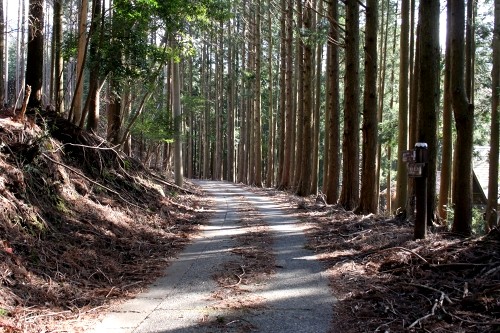踊子歩道（旧下田街道） 野畔 湯ヶ島 伊豆市 静岡県
