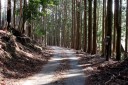 踊子歩道（旧下田街道） 野畔 湯ヶ島 伊豆市 静岡県