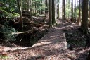 踊子歩道（旧下田街道） 野畔 湯ヶ島 伊豆市 静岡県