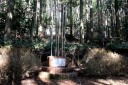 横山利一文学碑 野畔 湯ヶ島 伊豆市 静岡県