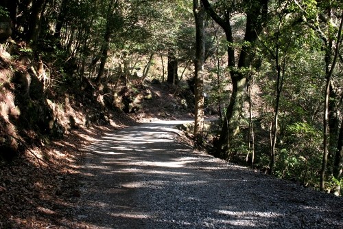 踊子歩道（旧下田街道） 湯ヶ島 伊豆市 静岡県