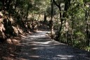 踊子歩道（旧下田街道） 湯ヶ島 伊豆市 静岡県