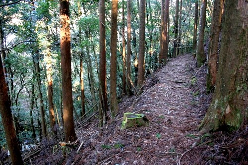 踊子歩道 湯ヶ島 伊豆市 静岡県