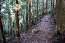 踊子歩道 湯ヶ島 伊豆市 静岡県