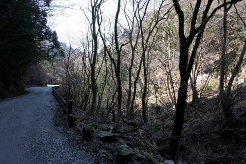 踊子歩道 梨本 河津町 賀茂郡 静岡県