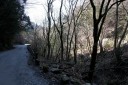 踊子歩道 梨本 河津町 賀茂郡 静岡県