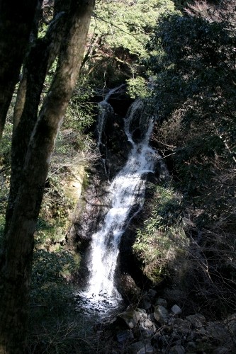 二階滝（にかいだる）梨本 河津町 賀茂郡 静岡県