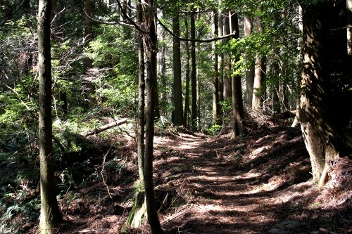 踊子歩道 梨本 河津町 賀茂郡 静岡県