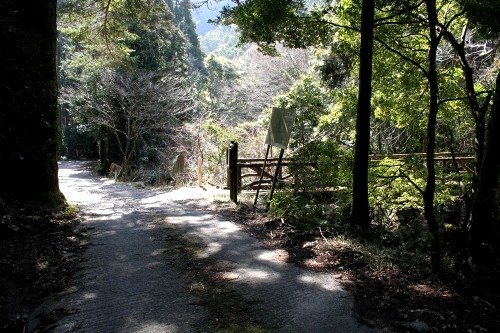 踊子歩道 梨本 河津町 賀茂郡 静岡県