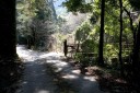 踊子歩道 梨本 河津町 賀茂郡 静岡県