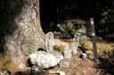 石仏 梨本 河津町 賀茂郡 静岡県