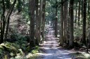 宗太郎園地（踊子歩道） 梨本 河津町 賀茂郡 静岡県