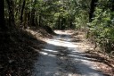 踊子歩道 梨本 河津町 賀茂郡 静岡県