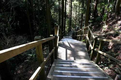 釜滝への階段（河津七滝） 梨本 河津町 賀茂郡 静岡県