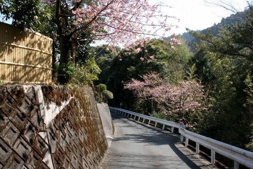 旧下田街道 上条 梨本 河津町 賀茂郡 静岡県