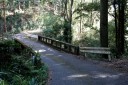 大沢橋 梨本 河津町 賀茂郡 静岡県
