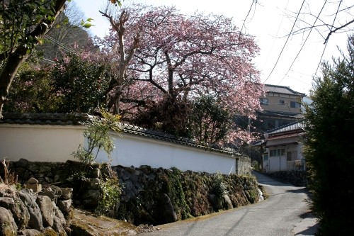 旧下田街道梨本宿 梨本 河津町 賀茂郡 静岡県