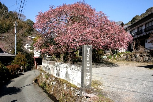 旧天城街道梨本宿 梨本 河津町 賀茂郡 静岡県