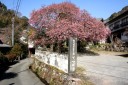 旧天城街道梨本宿 梨本 河津町 賀茂郡 静岡県