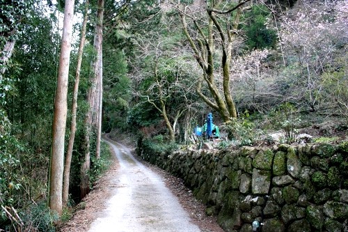 旧下田街道 大鍋 河津町 賀茂郡 静岡県