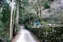 旧下田街道 大鍋 河津町 賀茂郡 静岡県