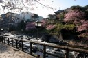 湯ケ野 河津町 賀茂郡 静岡県