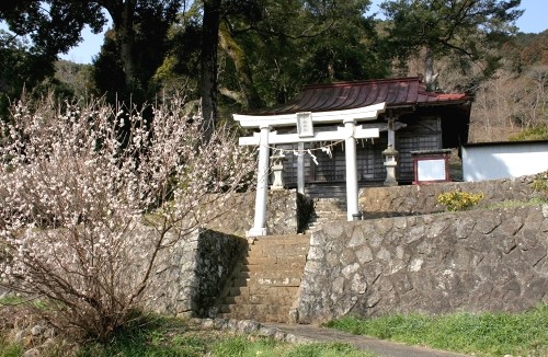 小鍋神社 小鍋 河津町 賀茂郡 静岡県