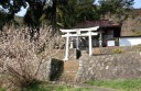 小鍋神社 小鍋 河津町 賀茂郡 静岡県